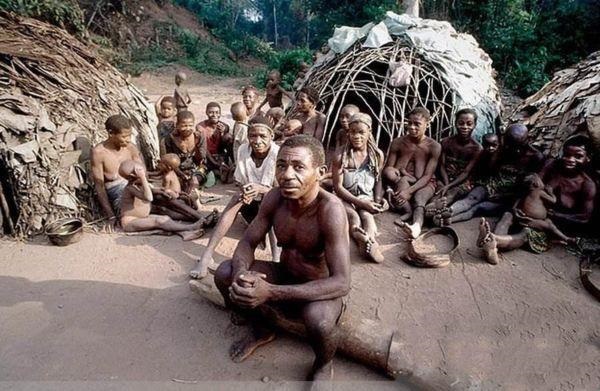 以白蟻為主食的矮人部落