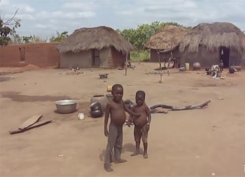 以白蟻為主食的矮人部落