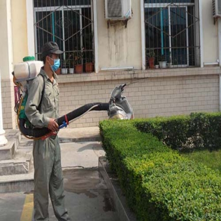 江門白蟻防治 江門白蟻防治