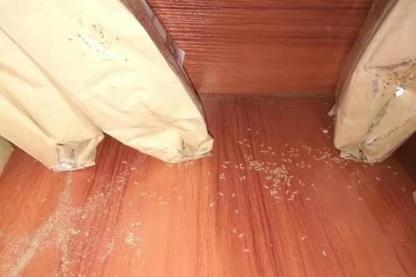 珠海中山別墅防治白蟻廠家-咨詢(xún)這家 珠海中山別墅防治白蟻廠家-咨詢(xún)這家