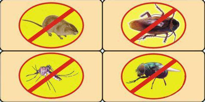 獅山單位除四害單位