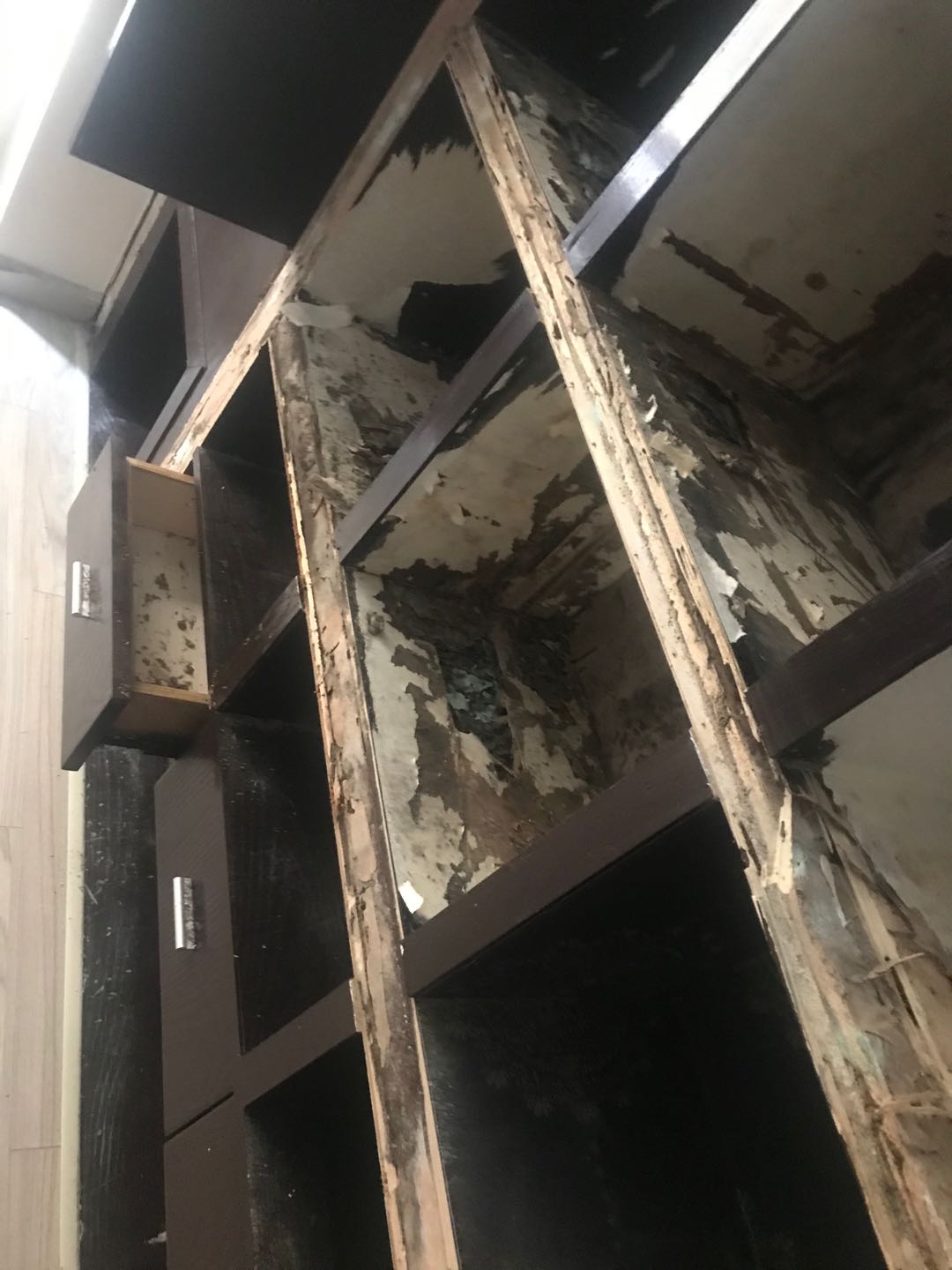 1589346858529893.jpg 1589346858529893.jpg