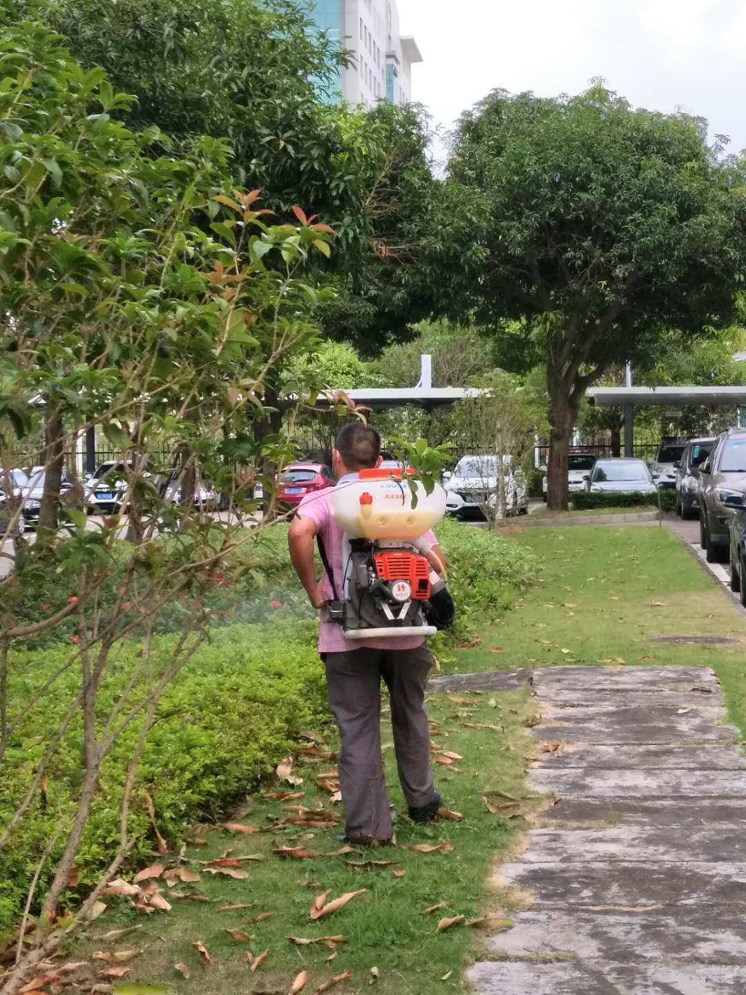 民眾殺蟲(chóng) 民眾殺蟲(chóng)